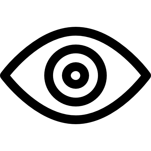 Vision Icon